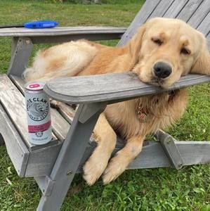 Meet your Posher, Charlie